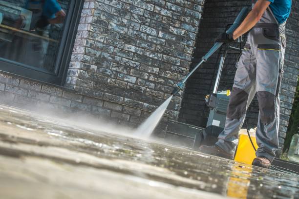 Best Gutter Cleaning and Brightening in Rockville, MN