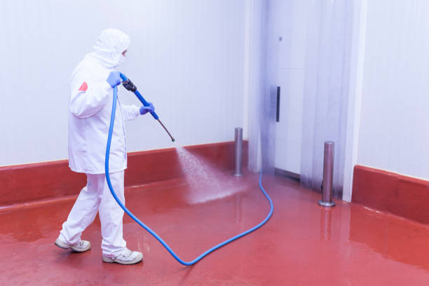 Trusted Rockville, MN Pressure Washing Services Experts