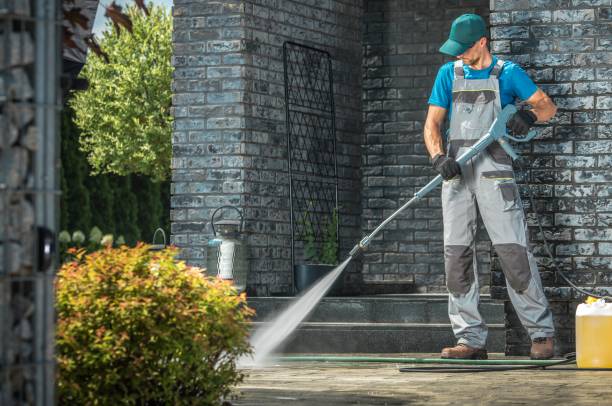 Best Driveway Cleaning and Restoration in Rockville, MN